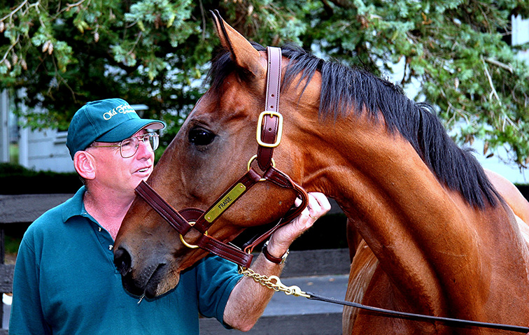 Meet the oldest surviving Kentucky Derby horse winner, Silver Charm