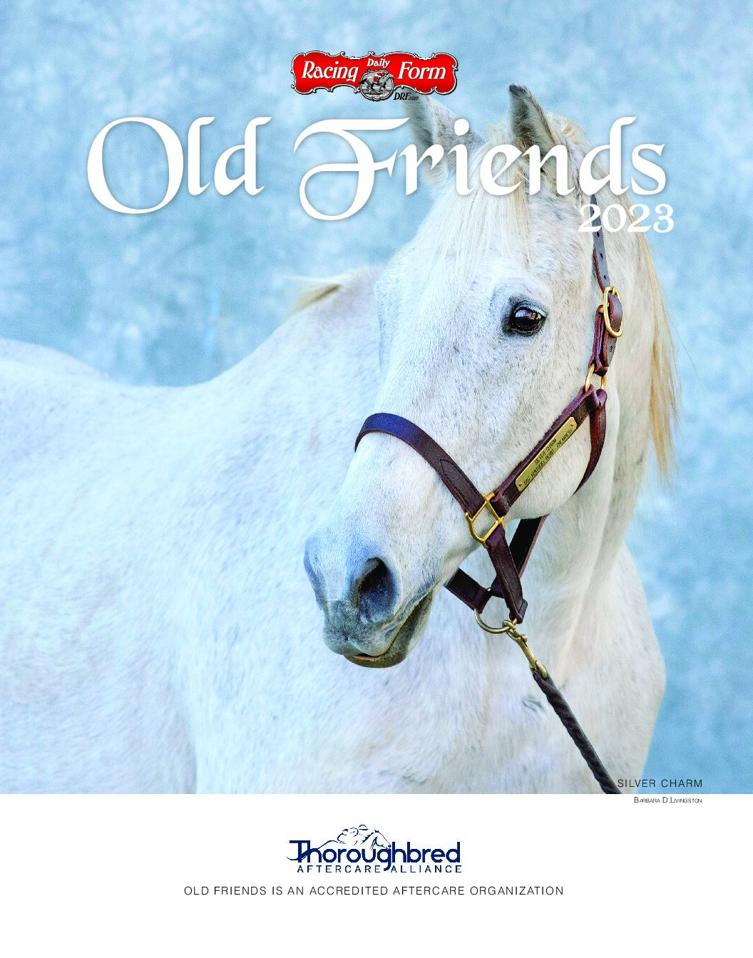 old friends equine tours